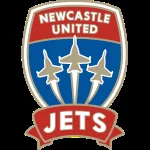 纽卡斯尔喷气机