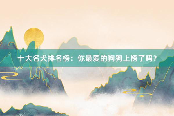 十大名犬排名榜:你最爱的狗狗上榜了吗?