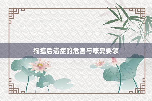 狗瘟后遗症的危害与康复要领